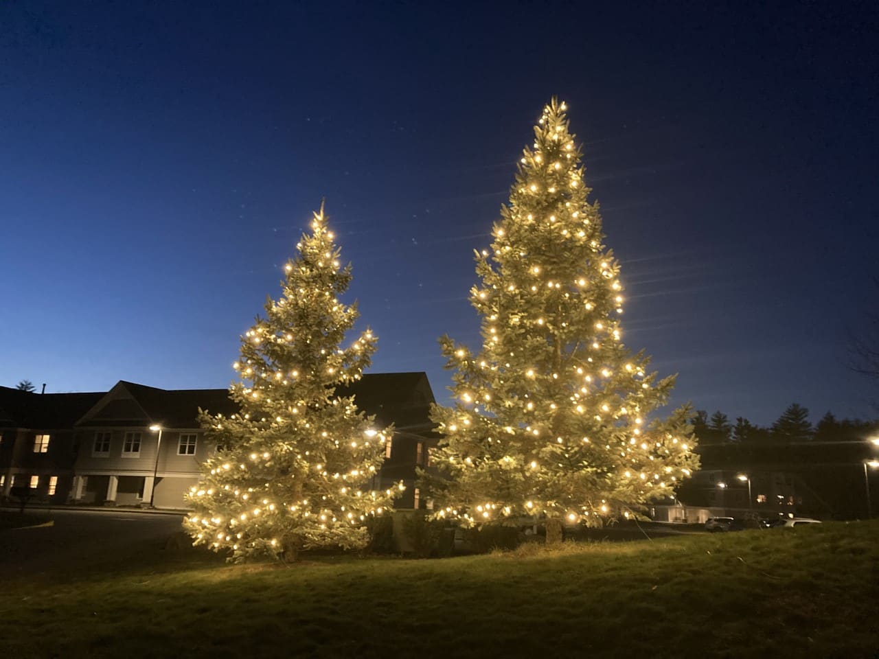 Riverwoods tree lighting