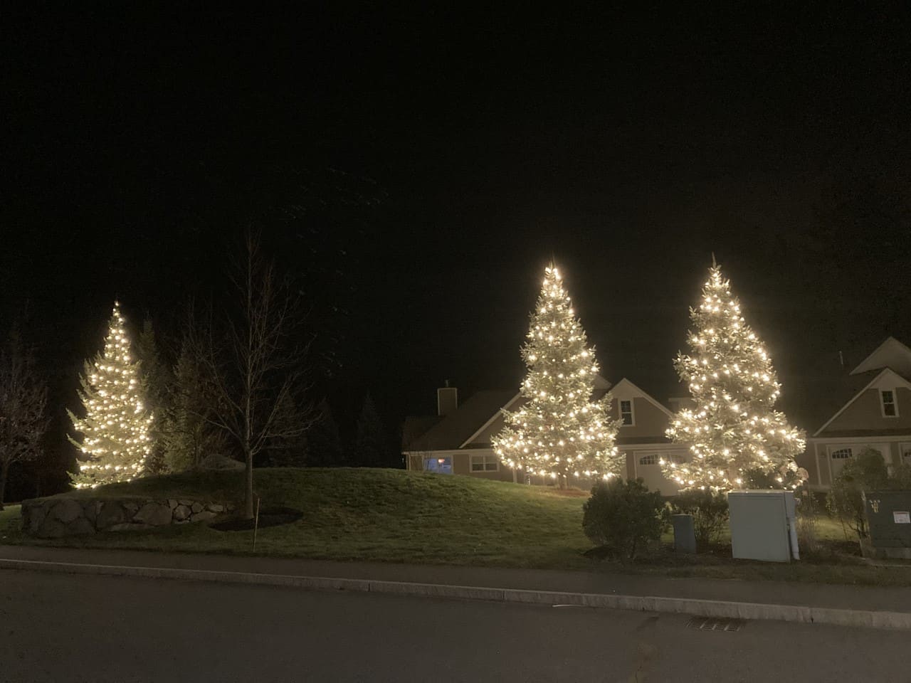 Riverwoods tree lighting