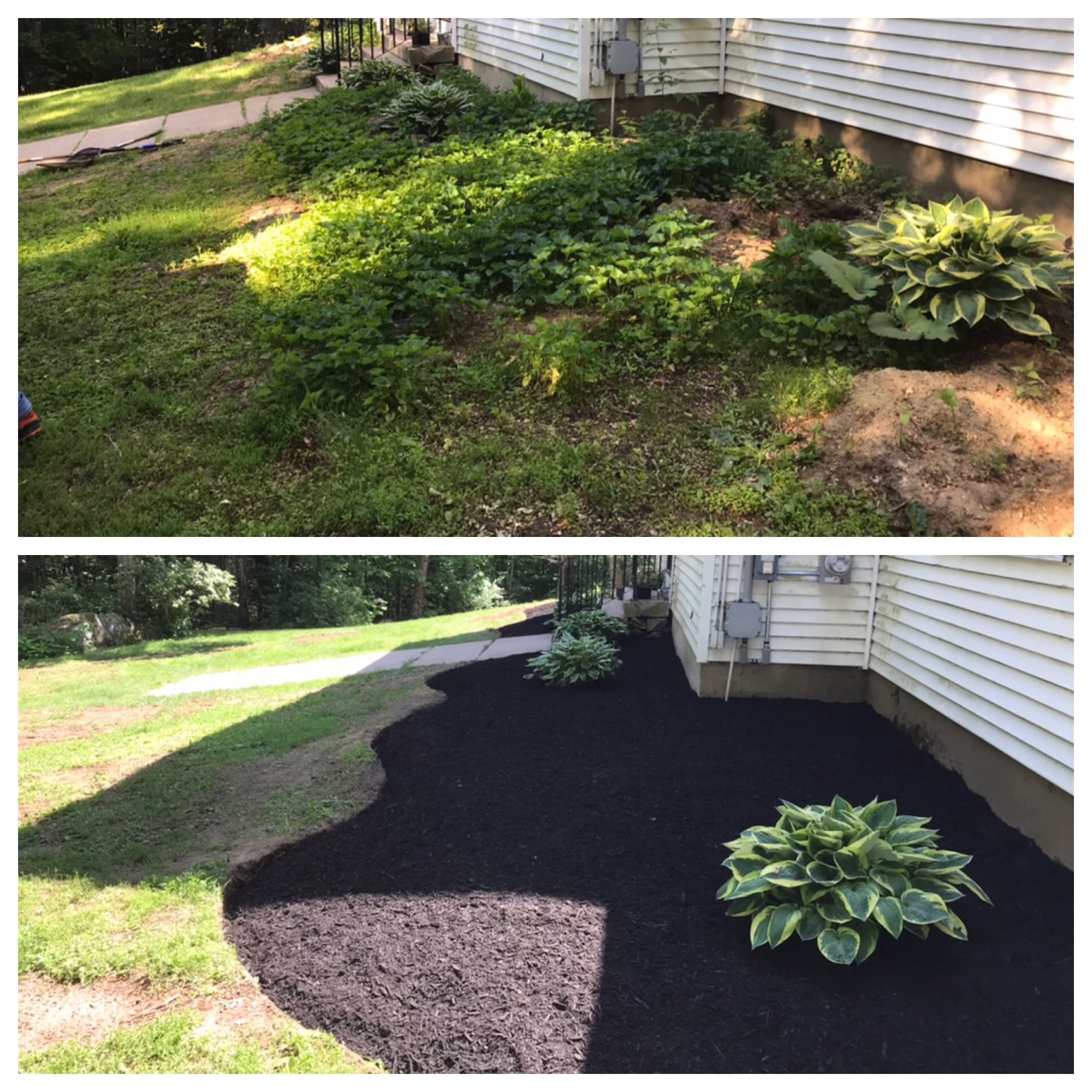 Before and after shots of a small planting bed